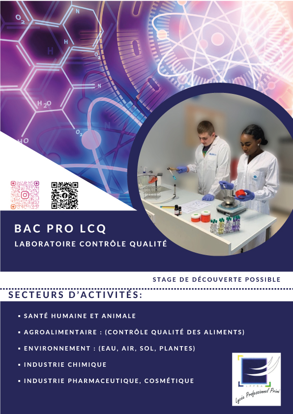 bac pro lcq villars 1