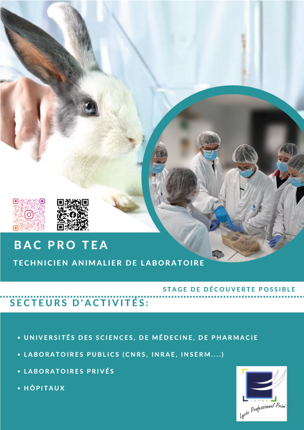 bac pro tea villars 1